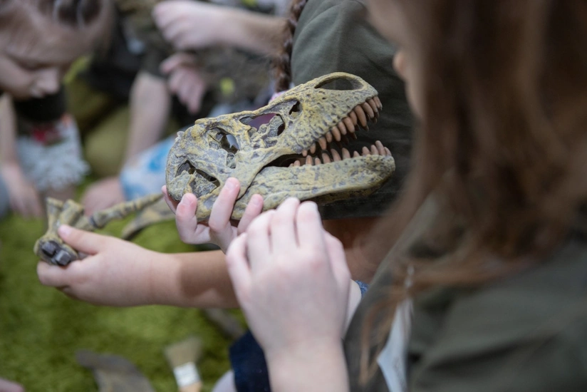 Argentinada yeni dinozavr növünün qalıqları tapılıb
