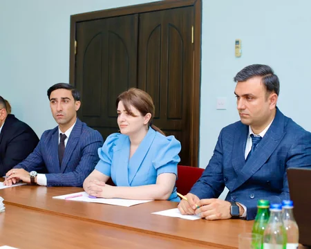 Омбудсмен Нахчывана встретилась с постоянным представителем ПРООН в Азербайджане