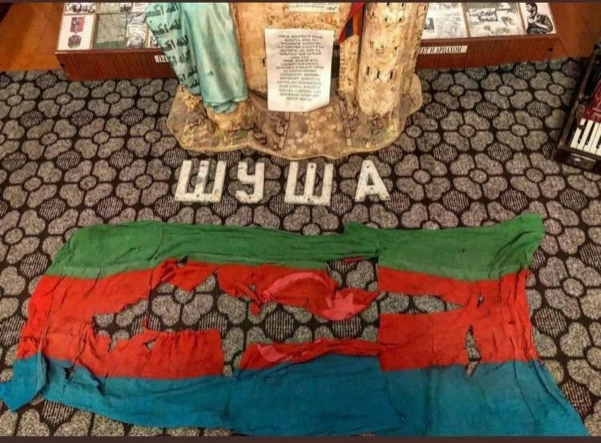 Ombudsman appeals to international organizations over humiliating Azerbaijani flag in Khankendi