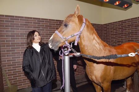 President Ilham Aliyev attends opening of Qarabag Equestrian Complex