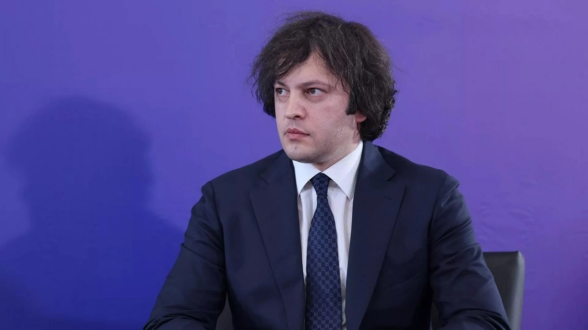 Премьер Грузии отменил встречу с главой МИД Финляндии