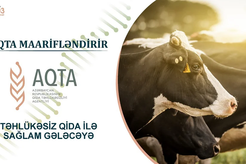 Baytarlıq preparatlarının istifadəsində təhlükəsizlik tədbirləri