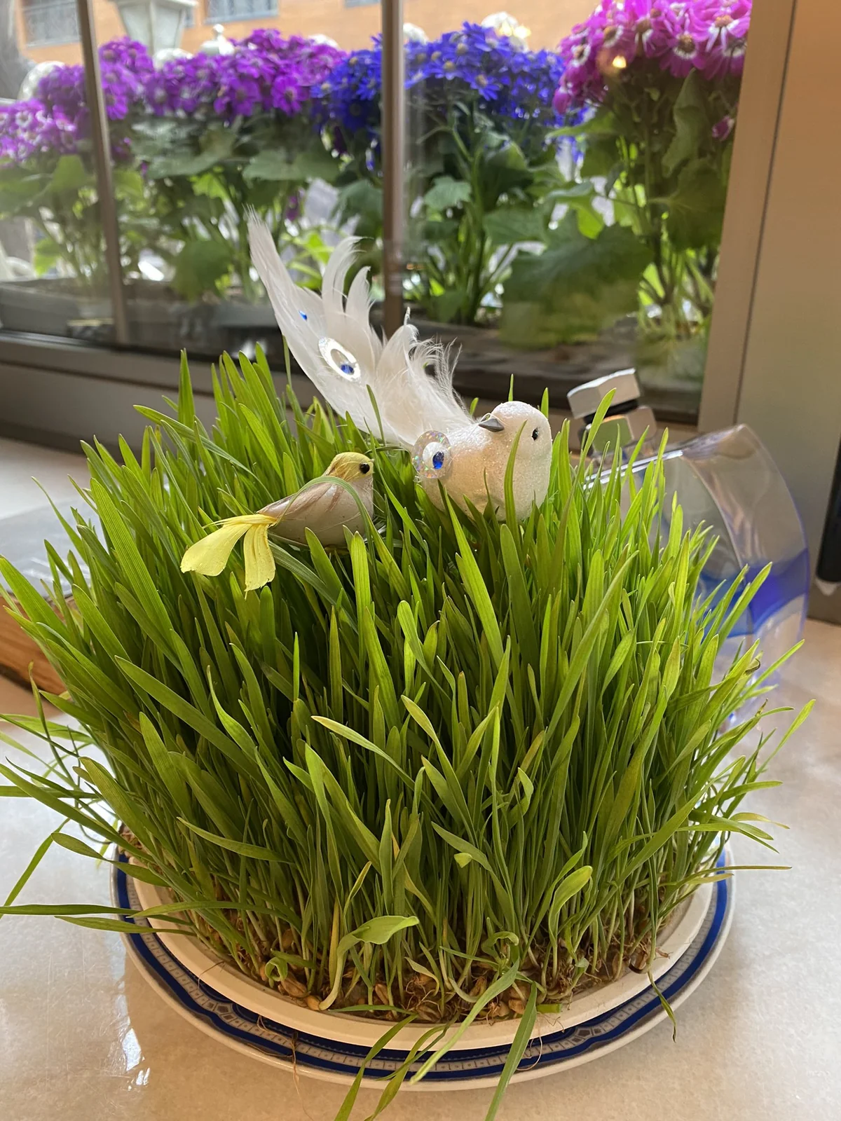 French embassy congratulates Azerbaijani people on Novruz holiday