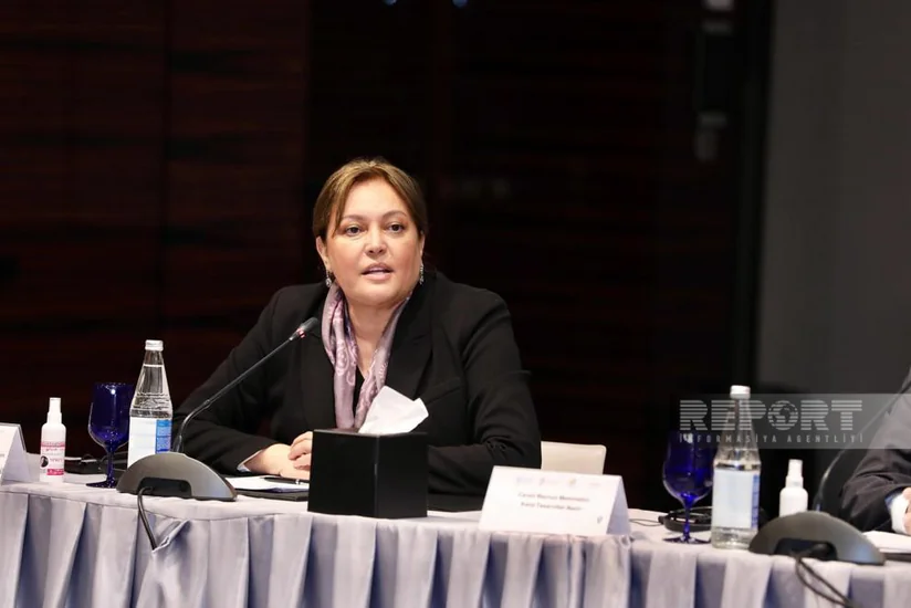 Umayra Tağıyeva: Azərbaycanda ən çox sel və daşqın hadisələri bu il qeydə alınıb
