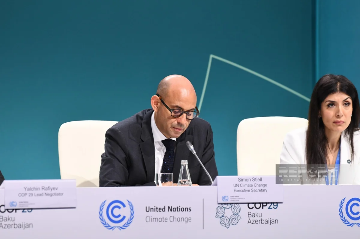 Saymon Stil: Bakıda keçirilən COP29-dan gözləntilər çoxdur