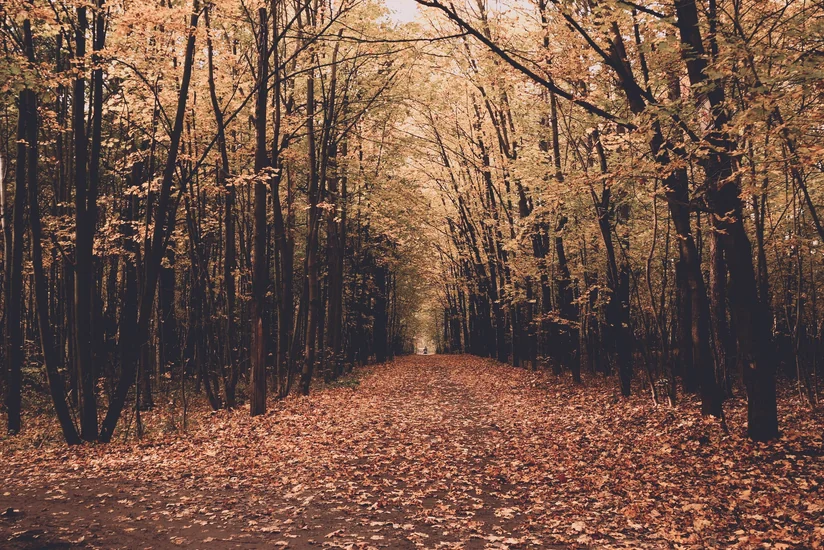 Dekabr ayının hava proqnozu açıqlanıb
