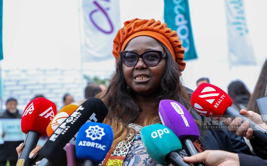 Cameroonian eco-activist: Those responsible for climate change make rules