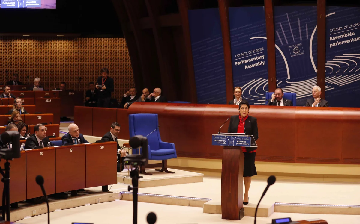 Salome Zurabişvili: “Gürcüstan və Azərbaycanın əhəmiyyətli gələcək potensialı var”