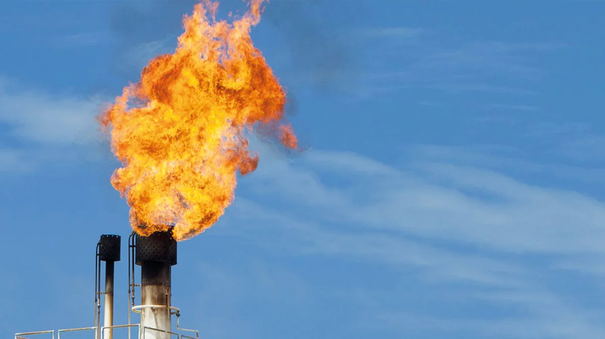 Expert: Gas field discovered by Türkiye can meet gas demand for 30 years