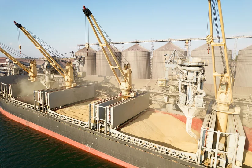 Polish authorities dissatisfied with Ukraine's position on grain imports