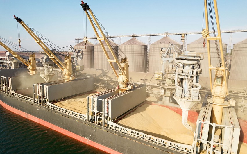 Polish authorities dissatisfied with Ukraine's position on grain imports