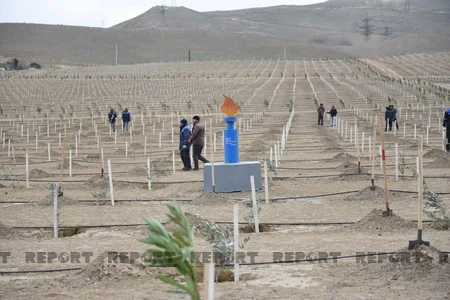 Azərbaycan Türkiyənin aksiyasına qoşulub