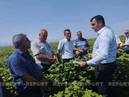 Biləsuvarda pambıqçı fermerlərə təlim keçirilib