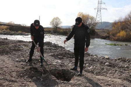 Laçında ağacəkmə aksiyası keçirilib