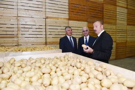 İsmayıllıda “Buta Qrup” MMC tərəfindən yaradılan aqroparkın açılışı olub