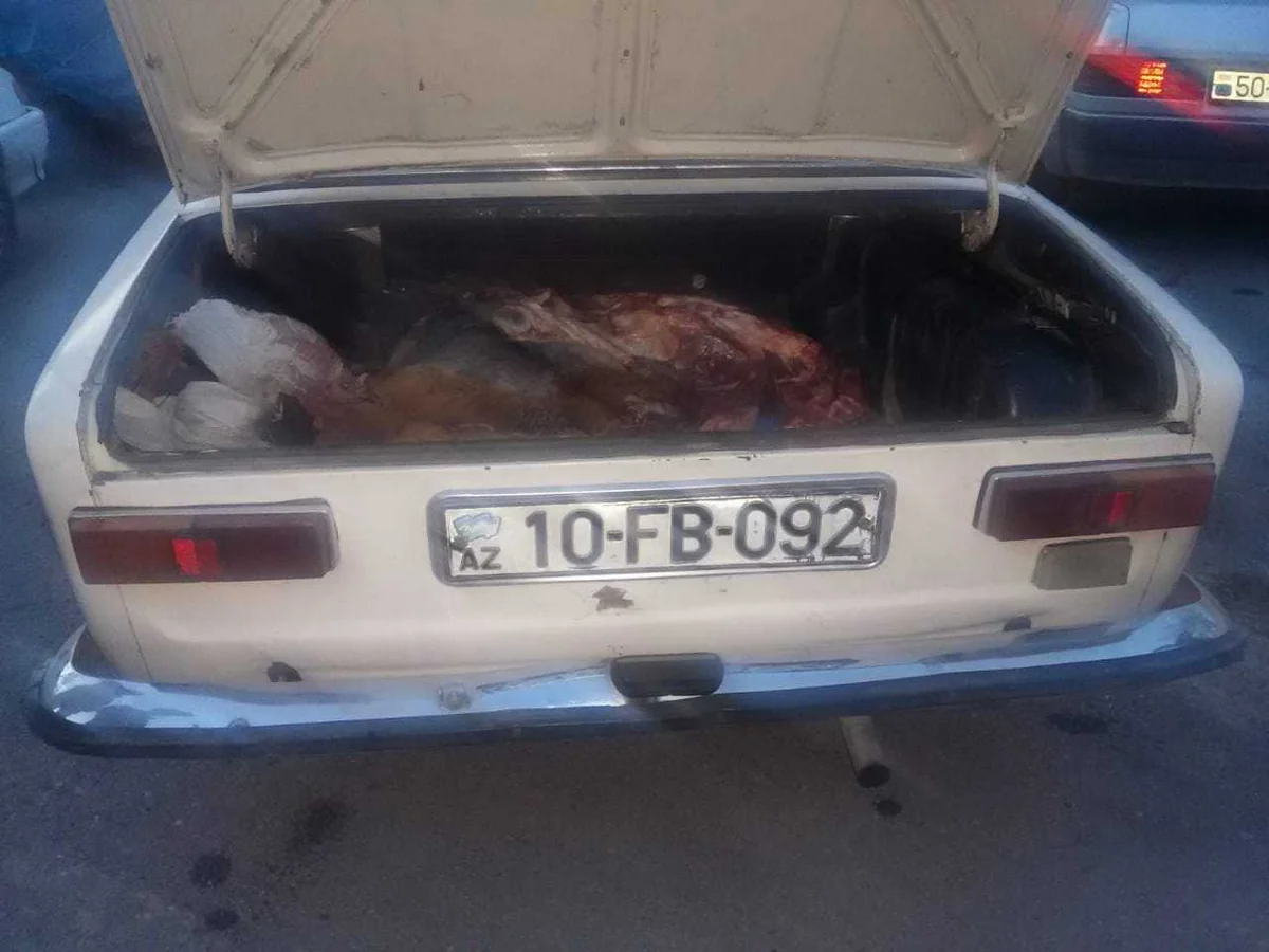İsmayıllıda avtomobildə at əti daşıyan şəxs saxlanılıb