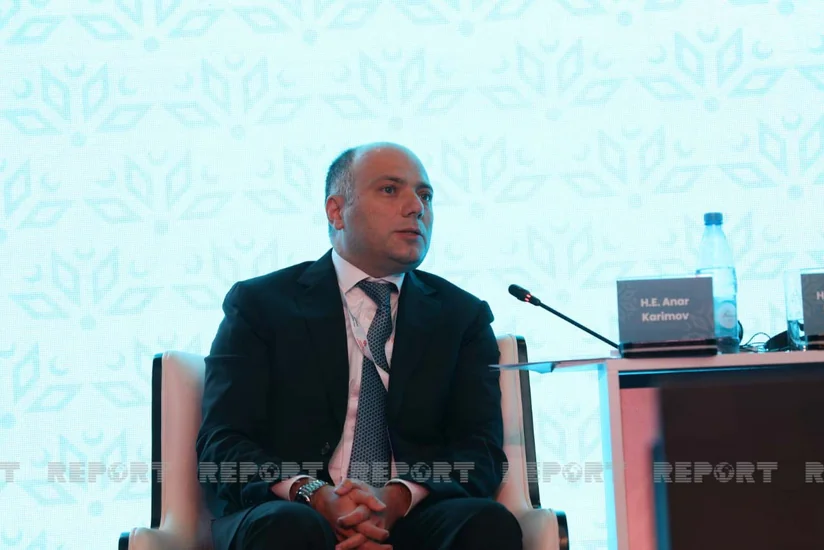Anar Kərimov: Nizami Gəncəvi Şərq və Qərb yazarlarının fikir mənbəyi olub