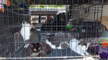 Su altında qalan Xerson - FOTOREPORTAJ