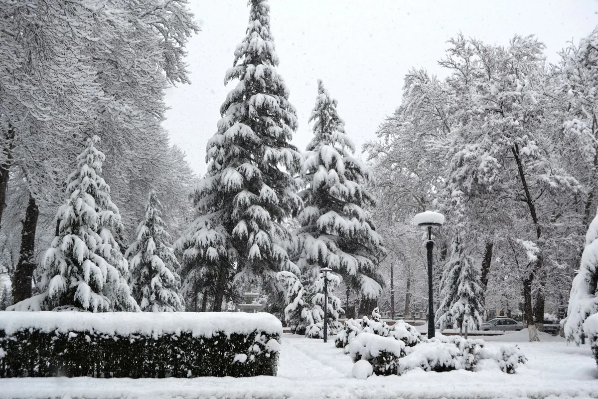 Dağlıq ərazilərdə qar yağıb, Bakıda temperatur normadan aşağı olub - FAKTİKİ HAVA