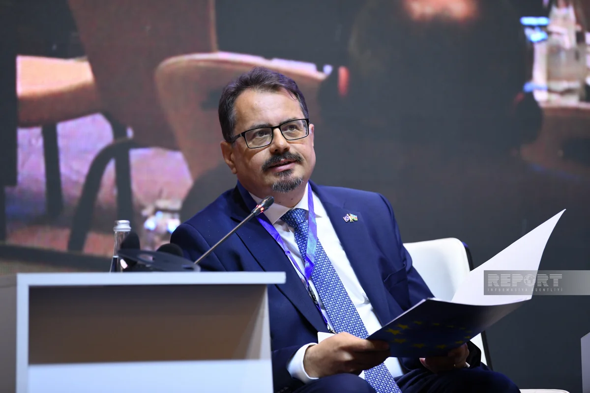 Mikhalko: EU is Azerbaijan's main partner in demining territories