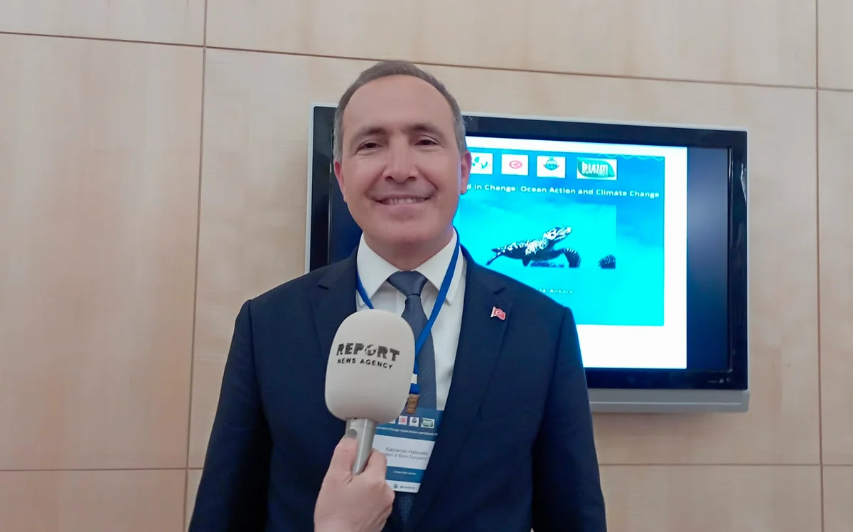 Türk Dövlətləri Təşkilatı iqlim dəyişmələri üzrə fəaliyyətlərə başlayıb