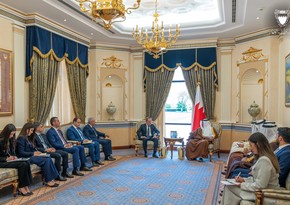 Azərbaycan Prezidentinin məktubu Bəhreyn vəliəhdinə təqdim edilib