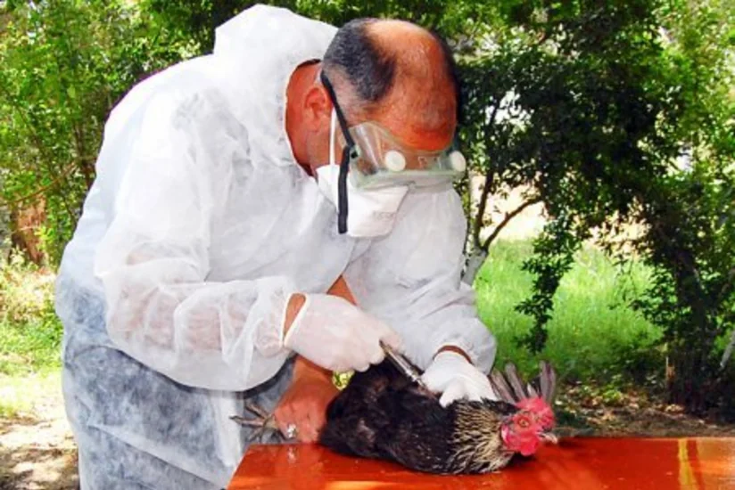 Biləsuvarda profilaktik tədbirlər davam etdirilir