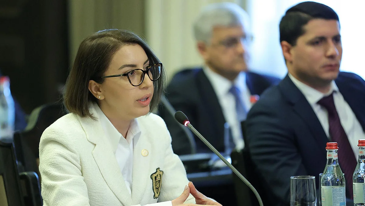 Armenian Human Rights Defender's tenure terminated