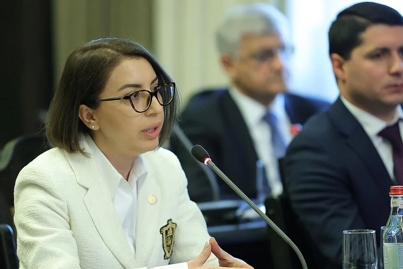 Armenian Human Rights Defender's tenure terminated