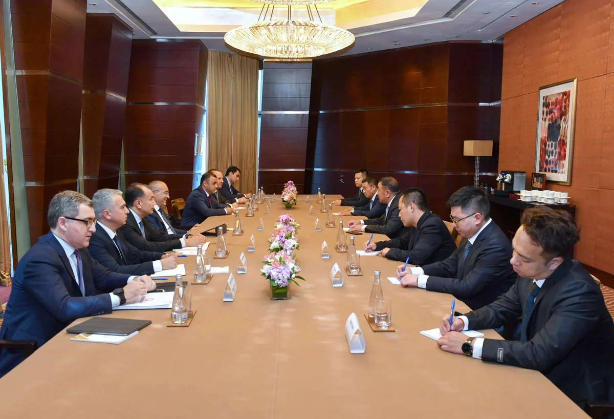 Azerbaijan discusses potential cooperation opportunities with Wenzhou Ningshing Trading