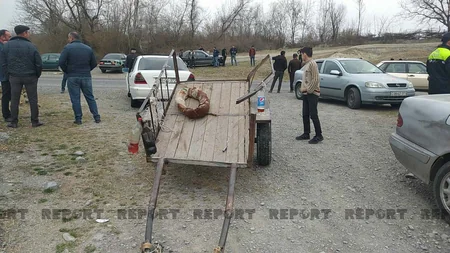 Oğuzda minik avtomobili ilə at arabası toqquşub, heyvan tələf olub, sahibi xəsarət alıb