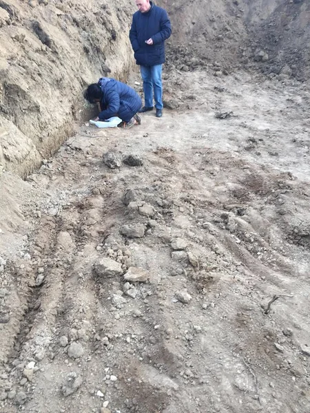 В Грузии в районе компактного проживания азербайджанцев обнаружена древняя могила