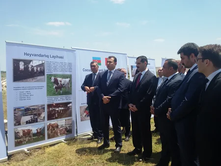 Cocuq Mərcanlıda istixana və arıçılıq təsərrüfatları yaradılır