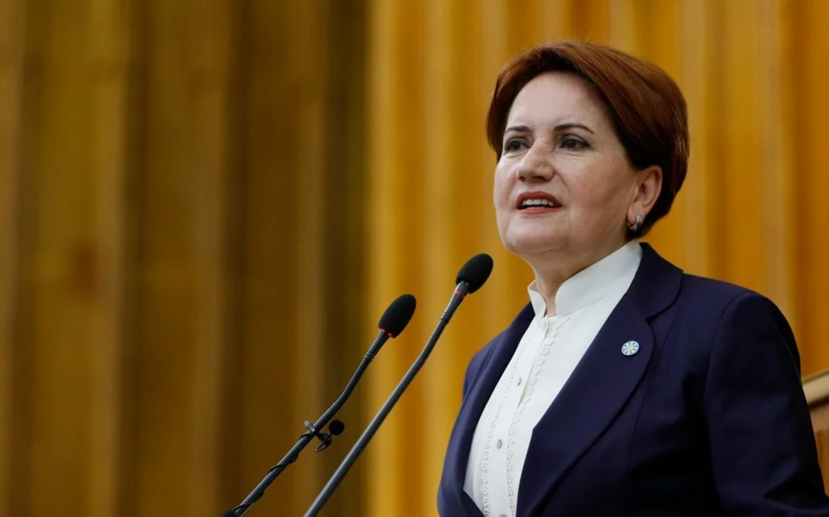 Meral Akşener: “Ermənistanın Azərbaycana qarşı hücumları qəbuledilməzdir”