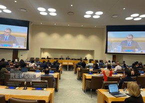 Azerbaijani candidate elected to UN Committee on Human Rights of Migrants