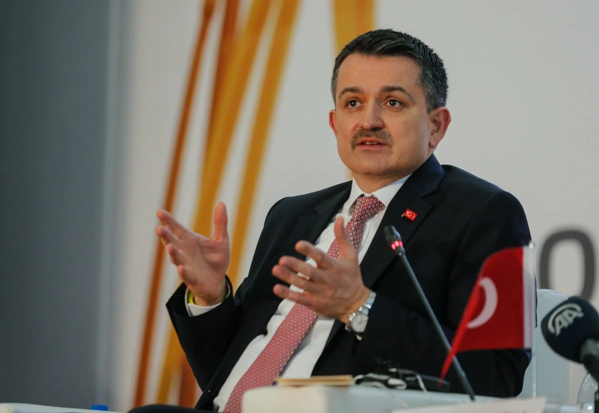 Türkiyədə 209 meşə yanğını nəzarət altına alınıb