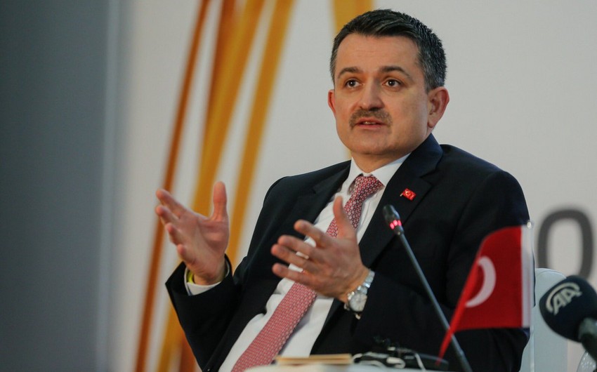 Türkiyədə 209 meşə yanğını nəzarət altına alınıb