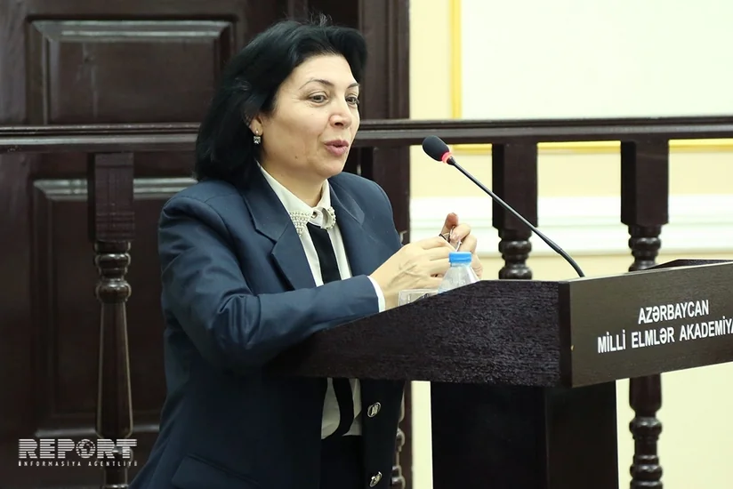 Terminologiya Komissiyası: İnternetin cəmiyyətə nüfuzunun sürətlənməsi ədəbi dil normalarının qorunmasını çətinləşdirib