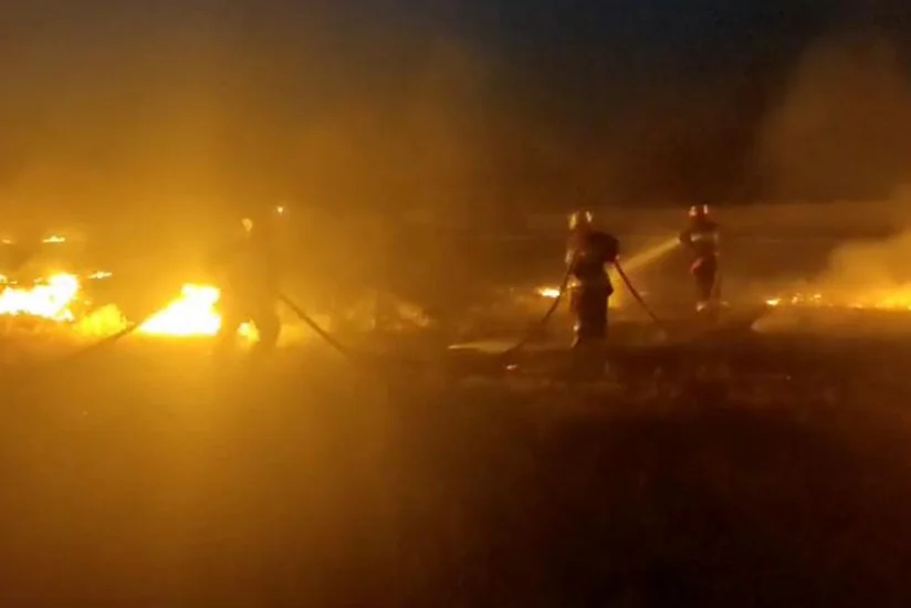 В Садаракском районе возник пожар на зерновом поле