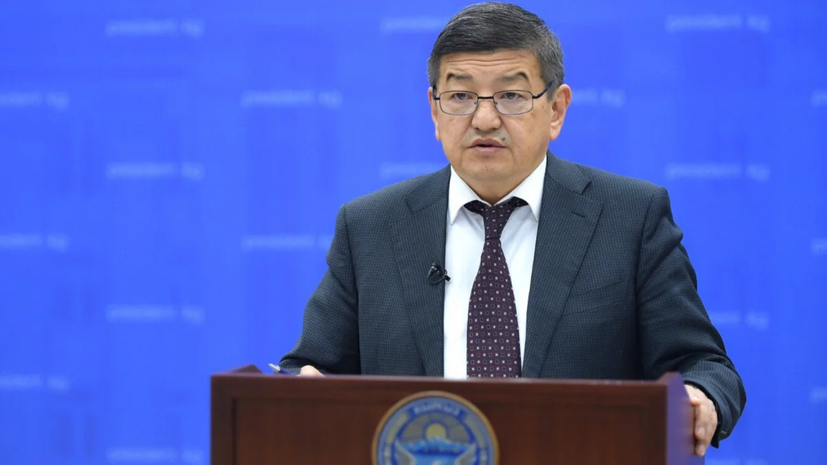 Премьер-министр Кыргызстана рассказал о горнорудном потенциале страны