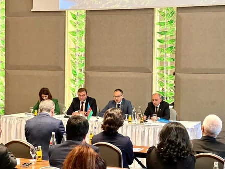 Berlində Qərbi Azərbaycana qayıdış mövzusunda konfrans keçirilib