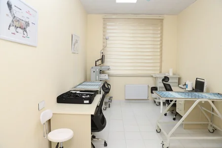 Bakıda Cənubi Qafqazın ən böyük və ən müasir Baytarlıq Klinikası açılıb
