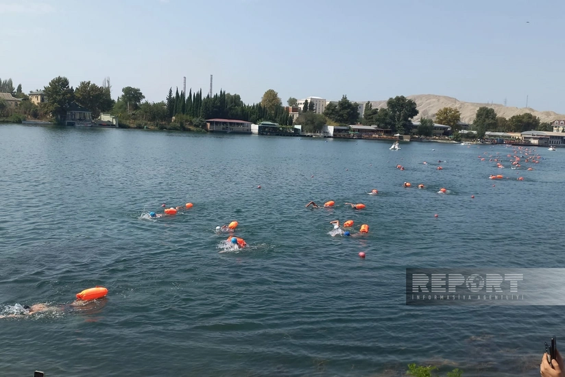 Mingəçevirdə Kürü keçək?! adlı yarış baş tutub