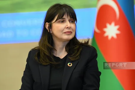 UN Office to invite climate experts to Azerbaijan within COP29