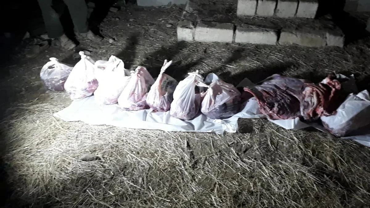 AQTA qanunsuz heyvan kəsimi fəaliyyətinin qarşısını aldı