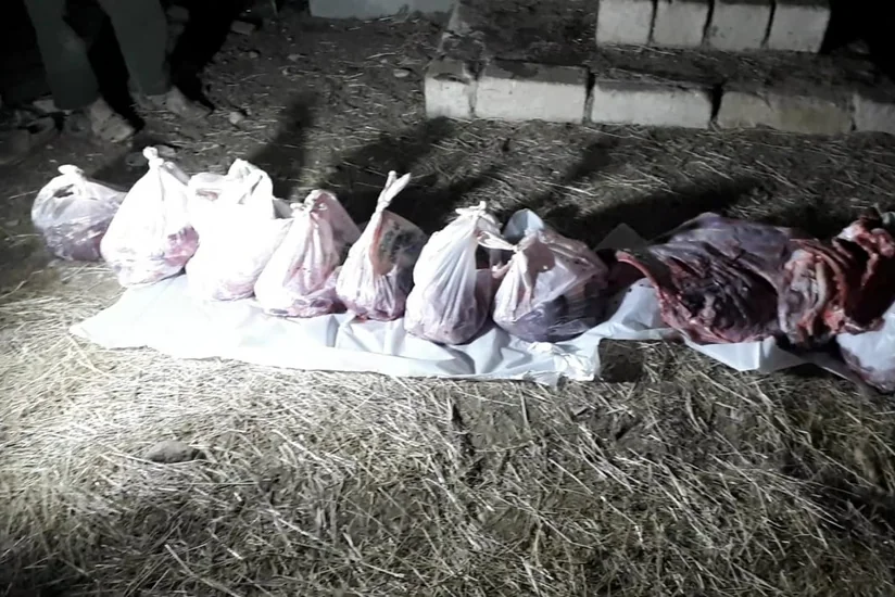 AQTA qanunsuz heyvan kəsimi fəaliyyətinin qarşısını aldı
