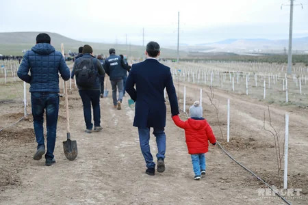 Report News Agency takes part in tree planting campaign - VIDEO