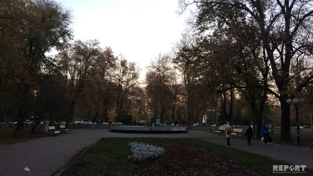 Рассыпавшиеся листопадом надежды, неулыбчивые жители и ностальгия - РЕПОРТАЖ ИЗ ПОЛТАВЫ