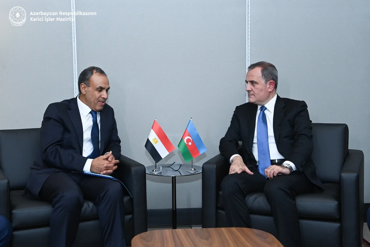 FMs of Azerbaijan, Egypt mull bilateral co-op