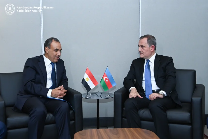 Главы МИД Азербайджана и Египта обсудили вопросы двустороннего сотрудничества